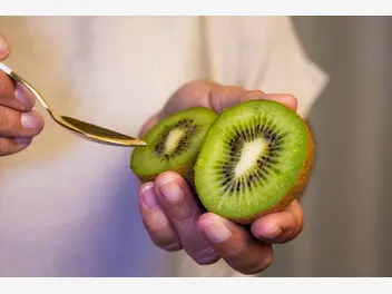 Ilustracja artykułu kiwi w ciąży – jeden z najzdrowszych owoców dla ciężarnej