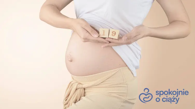 Kobieta w ciąży trzymająca się za brzuch z cyferkami, a także 19 tydzień ciąży krok po kroku