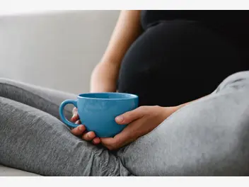 Ilustracja artykułu czy herbata miętowa w ciąży jest bezpieczna?