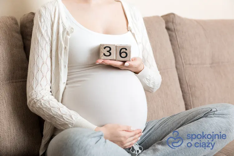 Kobieta w zaawansowanej ciąży trzymająca numer 36, a także 36 tydzień ciąży krok po kroku
