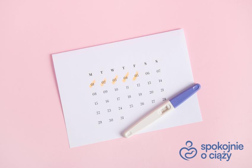Kalendarzyk i test ciążowy na różowym tle, a także jak działa kalkulator prawdopodobieństwa zajścia w ciążę