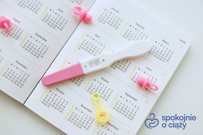 Kalendarz i test ciążowy na białym tle, a także kalkulator prawdopodobieństwa zajścia w ciążę krok po kroku