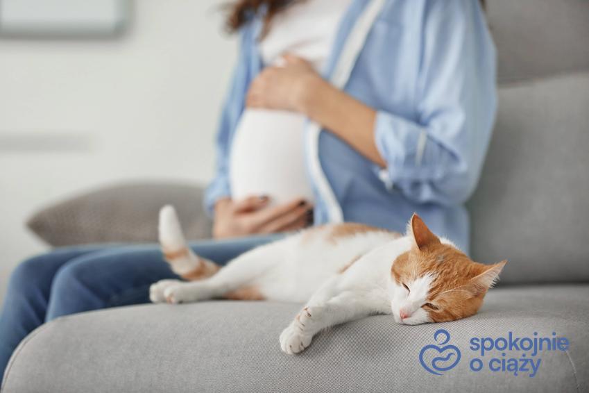Kobieta w zaawansowanej ciąży siedząca obok kota, a także toksoplazmoza w ciąży