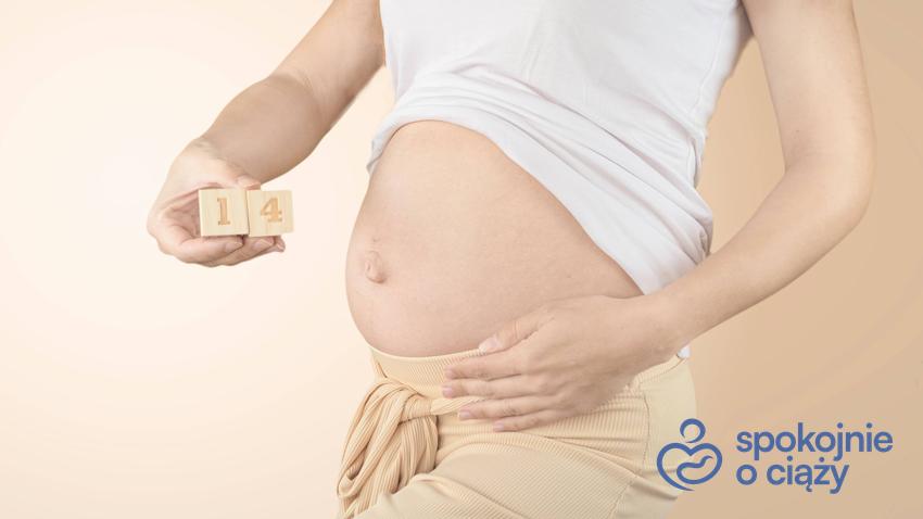 Kobieta eksponująca brzuszek w 14 tygodniu ciąży, a także 14 tydzień ciąży i jego przebieg krok po kroku