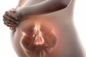 Ciąża bliźniacza - położna wyjaśnia, co trzeba wiedzieć